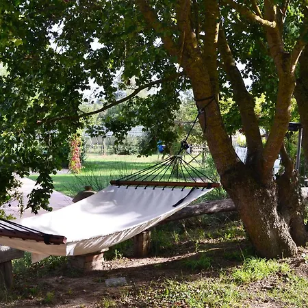 La Vecchia Cedraia, Wifi, Perugia Appartamento Colle (Terni)