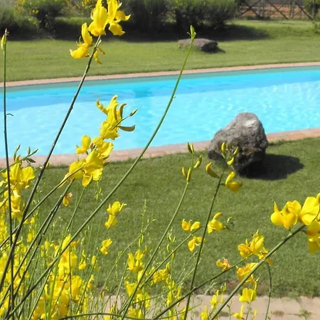La Vecchia Cedraia, Wifi, Perugia Apartment